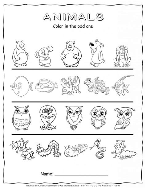 odd one out animals worksheets|Odd One Out Worksheets .